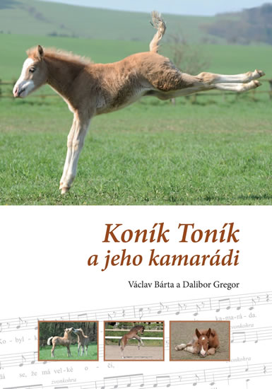Obrázok Koník Toník a jeho kamarádi