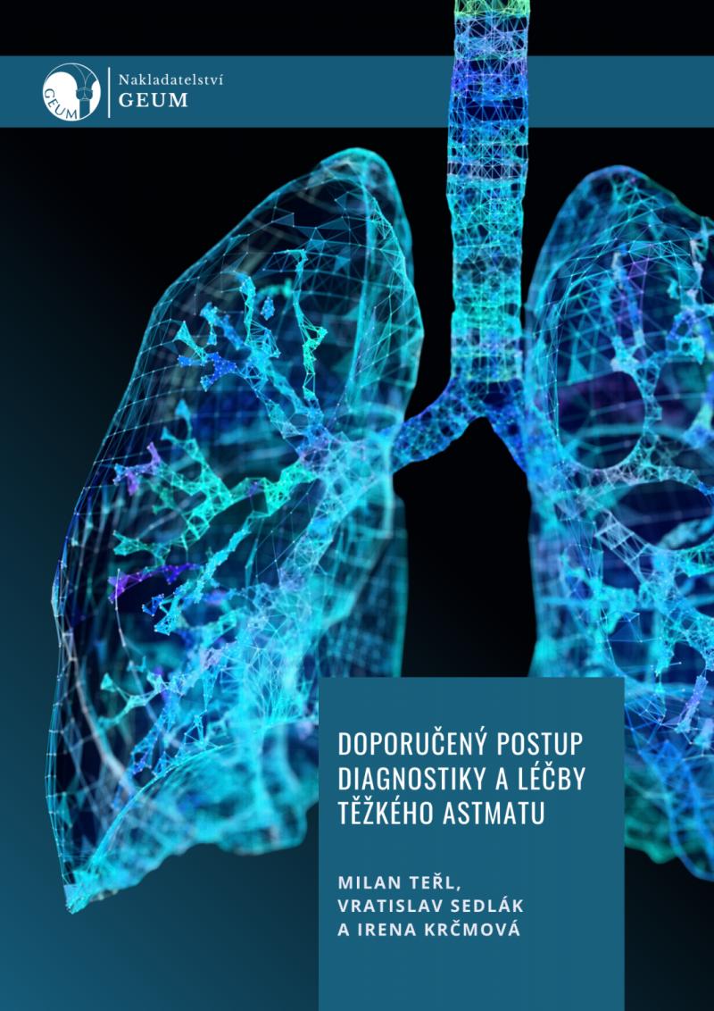 Obrázok Doporučený postup diagnostiky a léčby těžkého astmatu
