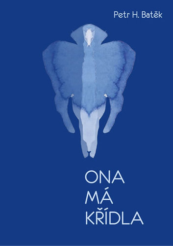 Obrázok Ona má křídla