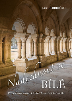 Obrázok Naechnout se bílé - Příběh ztraceného kázání Tomáše Akvinského
