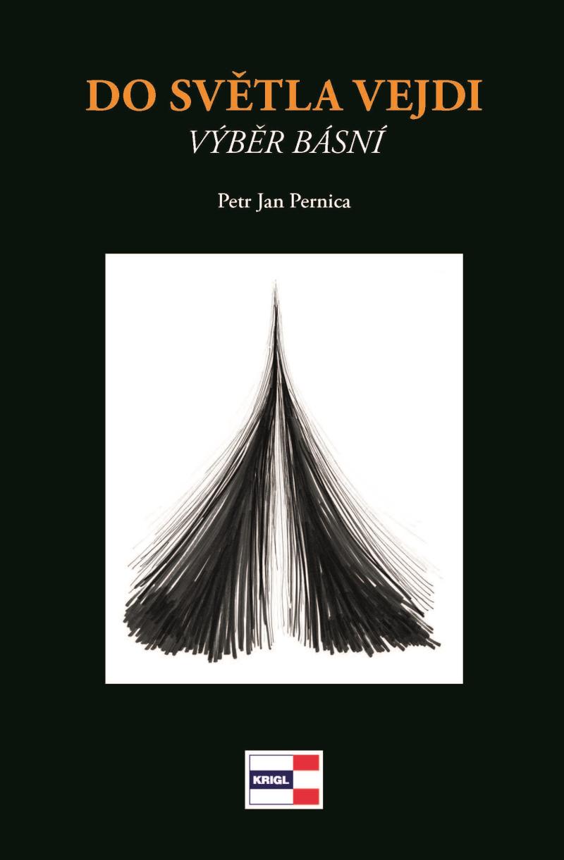 Obrázok Do světla vejdi