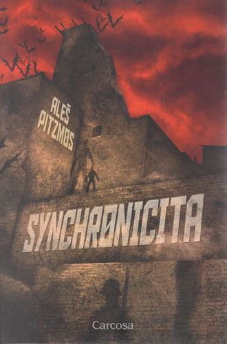 Obrázok Synchronicita