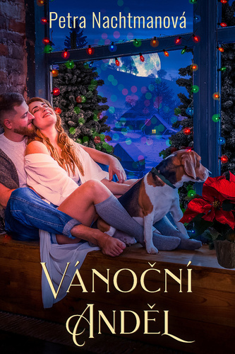 Obrázok Vánoční anděl