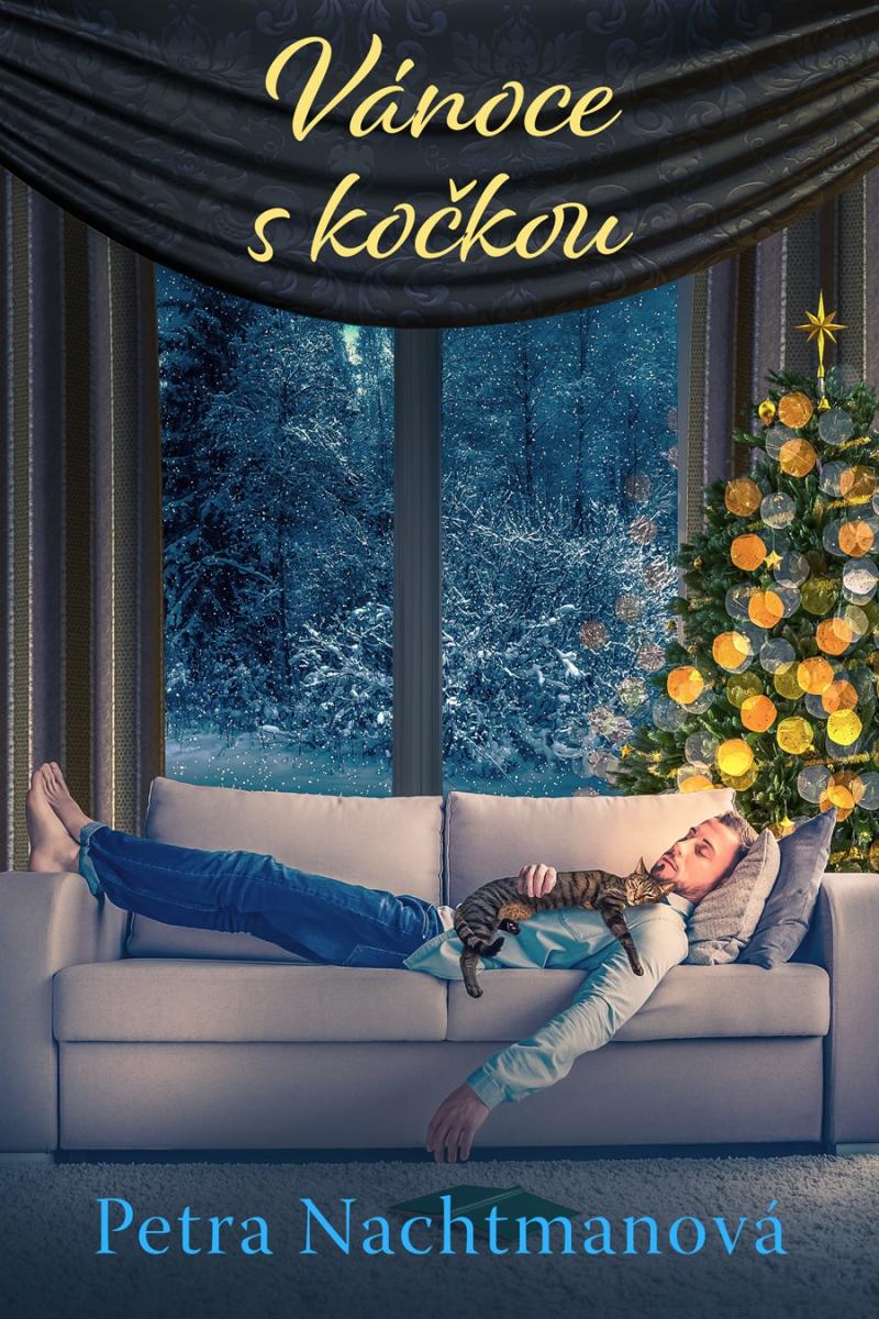 Obrázok Vánoce s kočkou