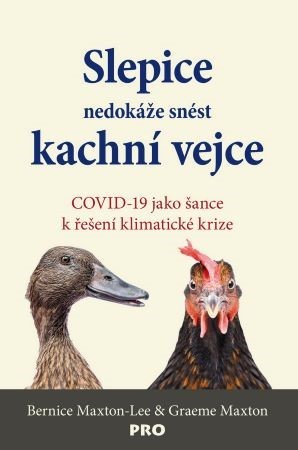 Obrázok Slepice nedokáže snést kachní vejce