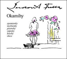 Obrázok Okamihy  spomienky myšlienky postrehy zápisky kresby skice