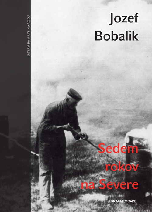 Obrazok Sedem rokov na Severe