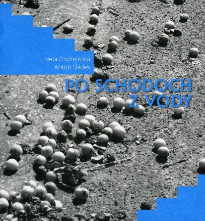 Obrazok Po schodoch z vody