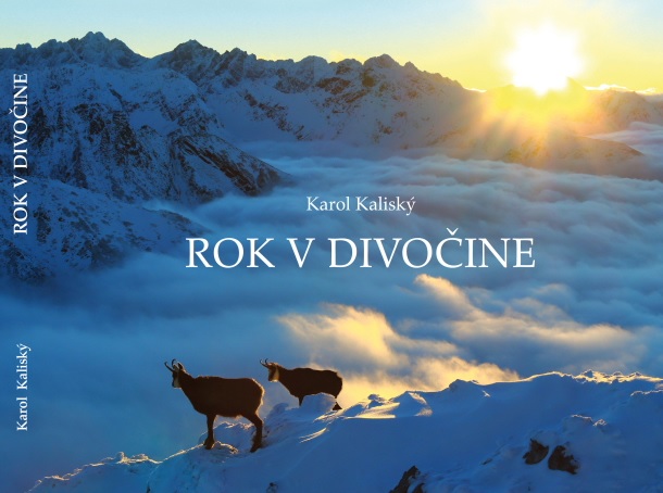 Obrazok Rok v divočine