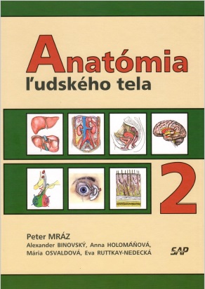 Obrazok Anatómia ľudského tela 2