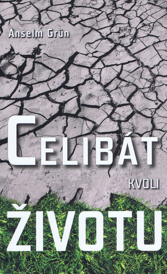 Obrázok Celibát kvôli životu