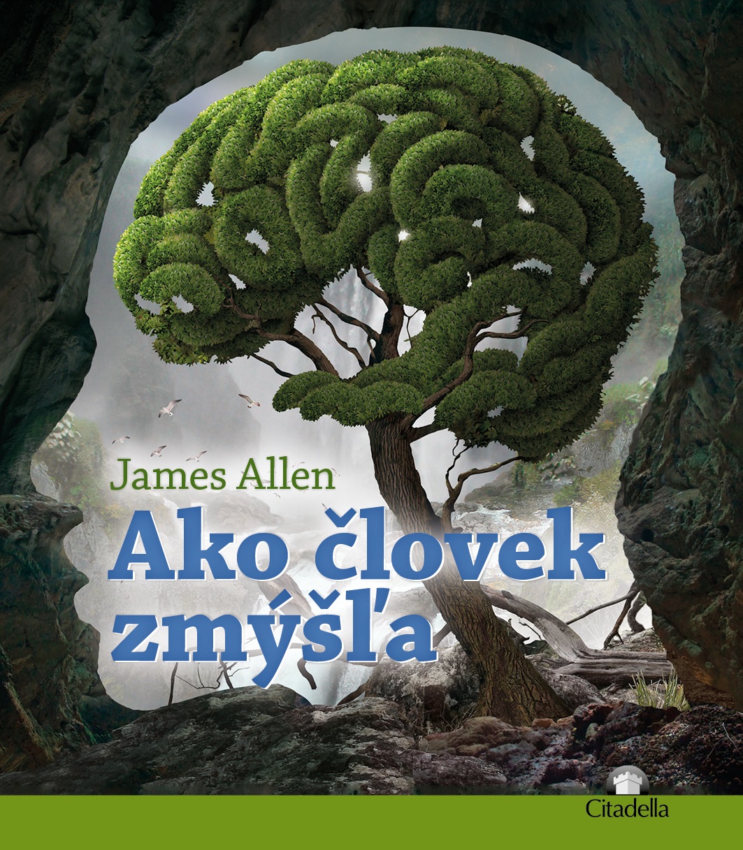 Obrazok Ako človek zmýšľa