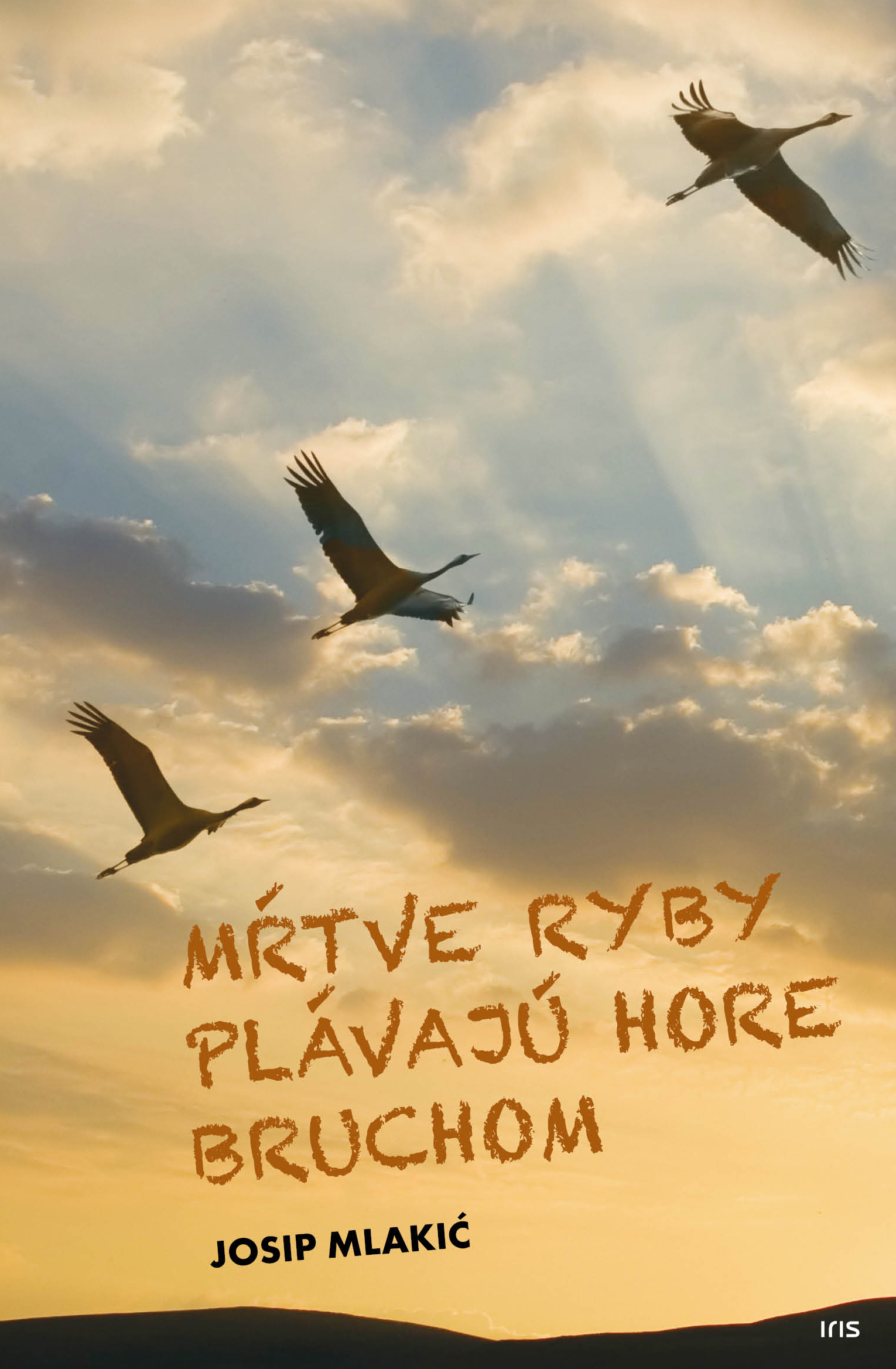 Obrazok Mŕtve ryby plávajú hore bruchom