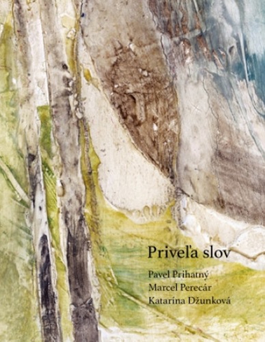 Obrazok Priveľa slov