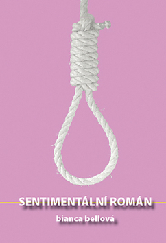 Obrázok Sentimentální román