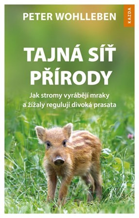 Obrázok Tajná síť přírody - Jak stromy vyrábějí mraky a žížaly regulují divoká prasata