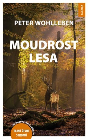 Obrázok Moudrost lesa