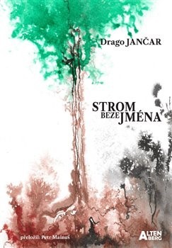 Obrázok Strom beze jména