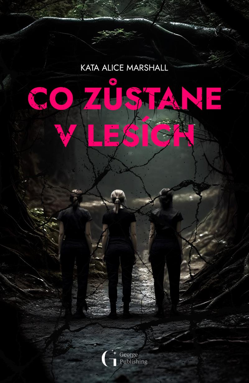 Obrázok Co zůstane v lesích