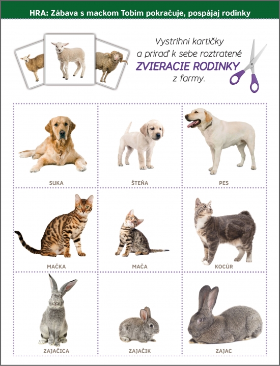 Obrázok Zvieracie rodinky