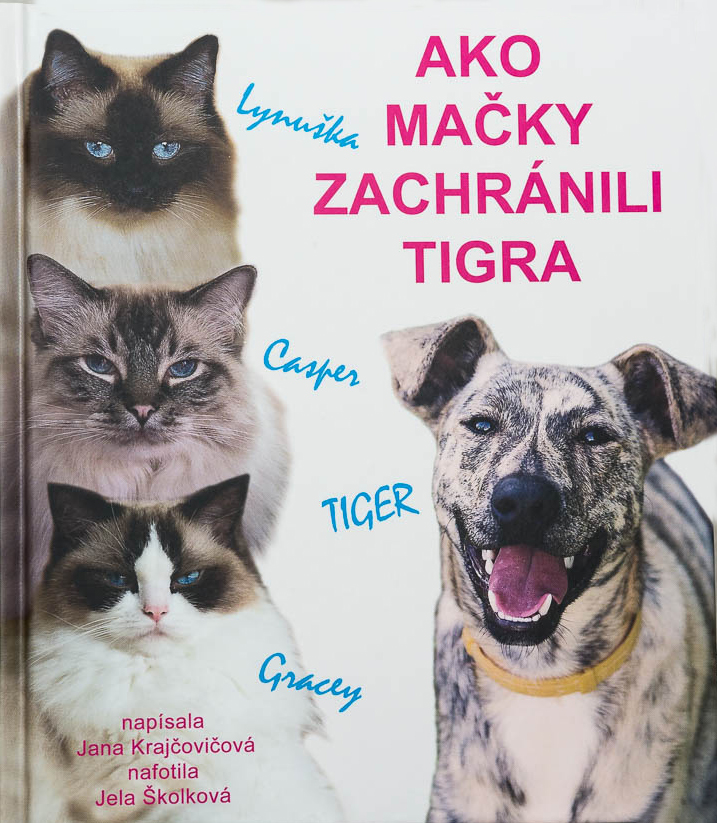 Obrazok Ako mačky zachránili tigra