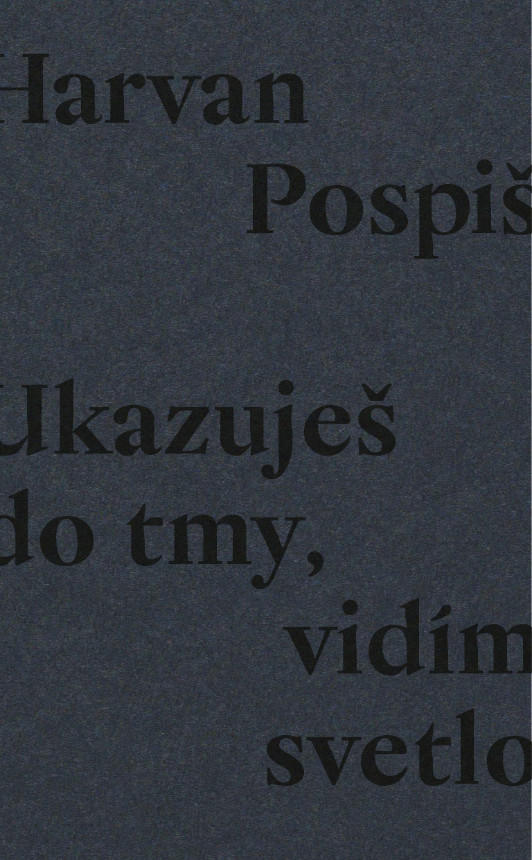 Obrazok Ukazuješ do tmy, vidím svetlo