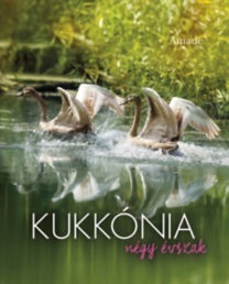 Obrázok Kukkónia - Négy évszak