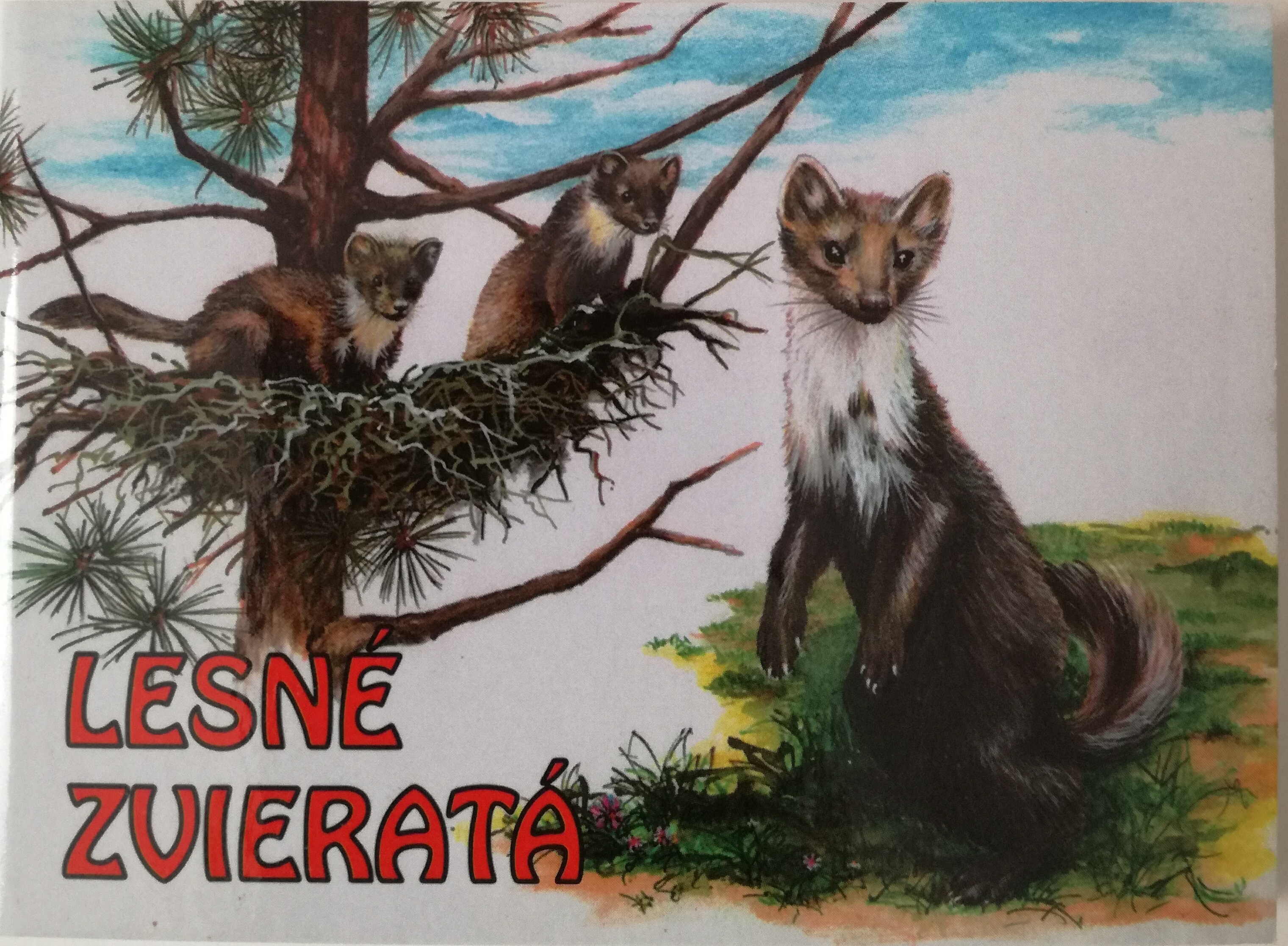 Obrazok Lesné zvieratá