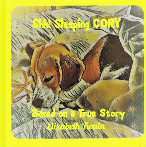 Obrázok Shh! Sleeping CORY - Based on a True Story