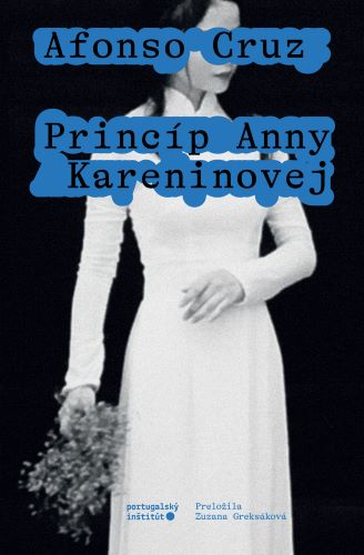 Obrazok Princíp Anny Kareninovej