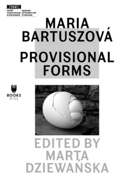 Obrázok Maria Bartuszova - Provisional Forms
