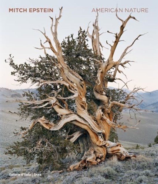 Obrázok Mitch Epstein