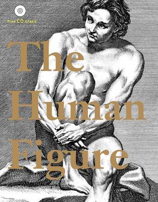 Obrázok Human Figure