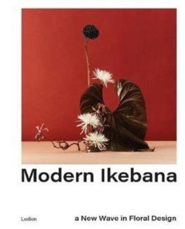 Obrázok Modern Ikebana