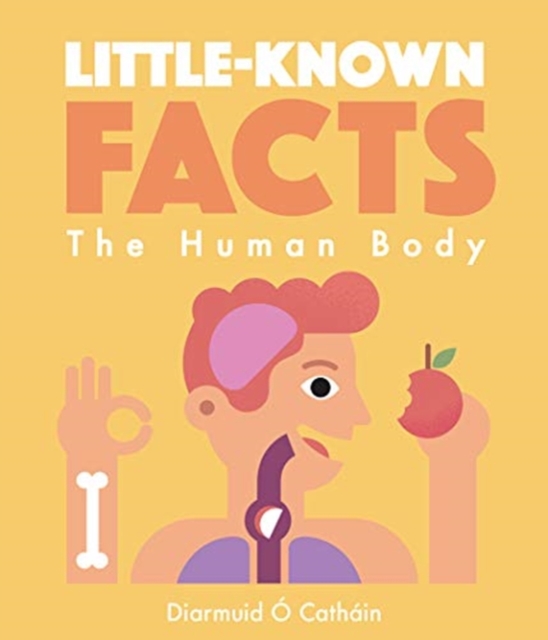 Obrázok Little known Facts  The Human Body
