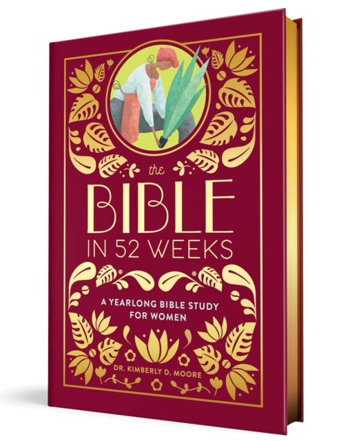 Obrázok The Bible in 52 Weeks (Deluxe Edition)