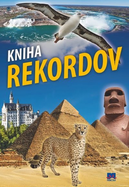 Obrázok Kniha rekordov